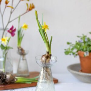 Bulb vase - clear glass