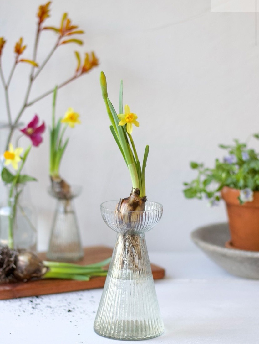 Vulp Vase Bulb vase – clear glass – Pop and Flo