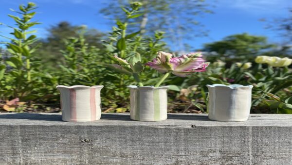 New arrivals