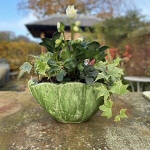 Shell planter