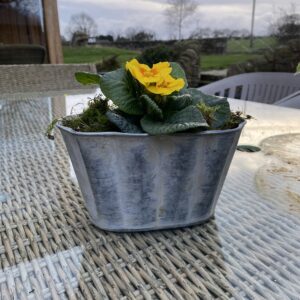 Oval scalloped planter (small)