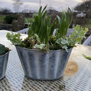 Oval scalloped planter (large)