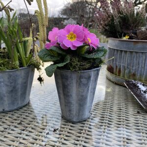 Mini scalloped planter