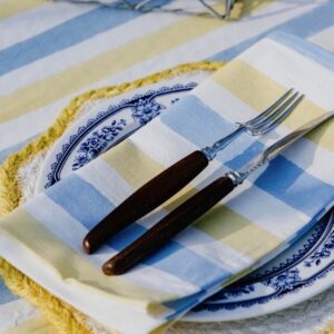 Blue & butter yellow striped napkins