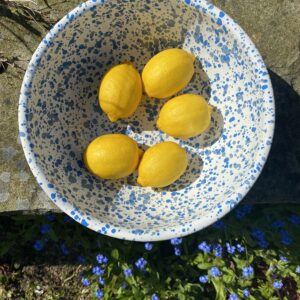 Blue splash enamel salad bowl